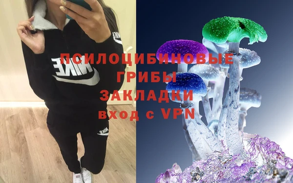героин Алексин