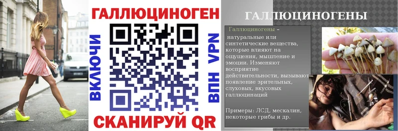 Галлюциногенные грибы Psilocybe  Гусь-Хрустальный 