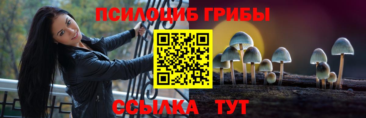 Гусь-Хрустальный  Псилоцибиновые грибы мухоморы  Вход с VPN 