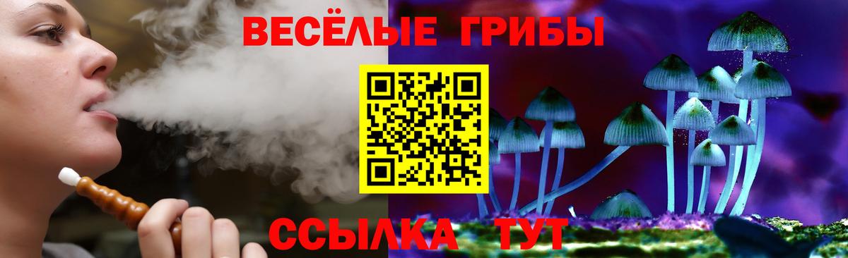 Галлюциногенные грибы Cubensis Гусь-Хрустальный